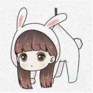 会员用户
