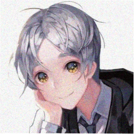 会员权益